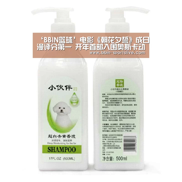 BBIN篮球